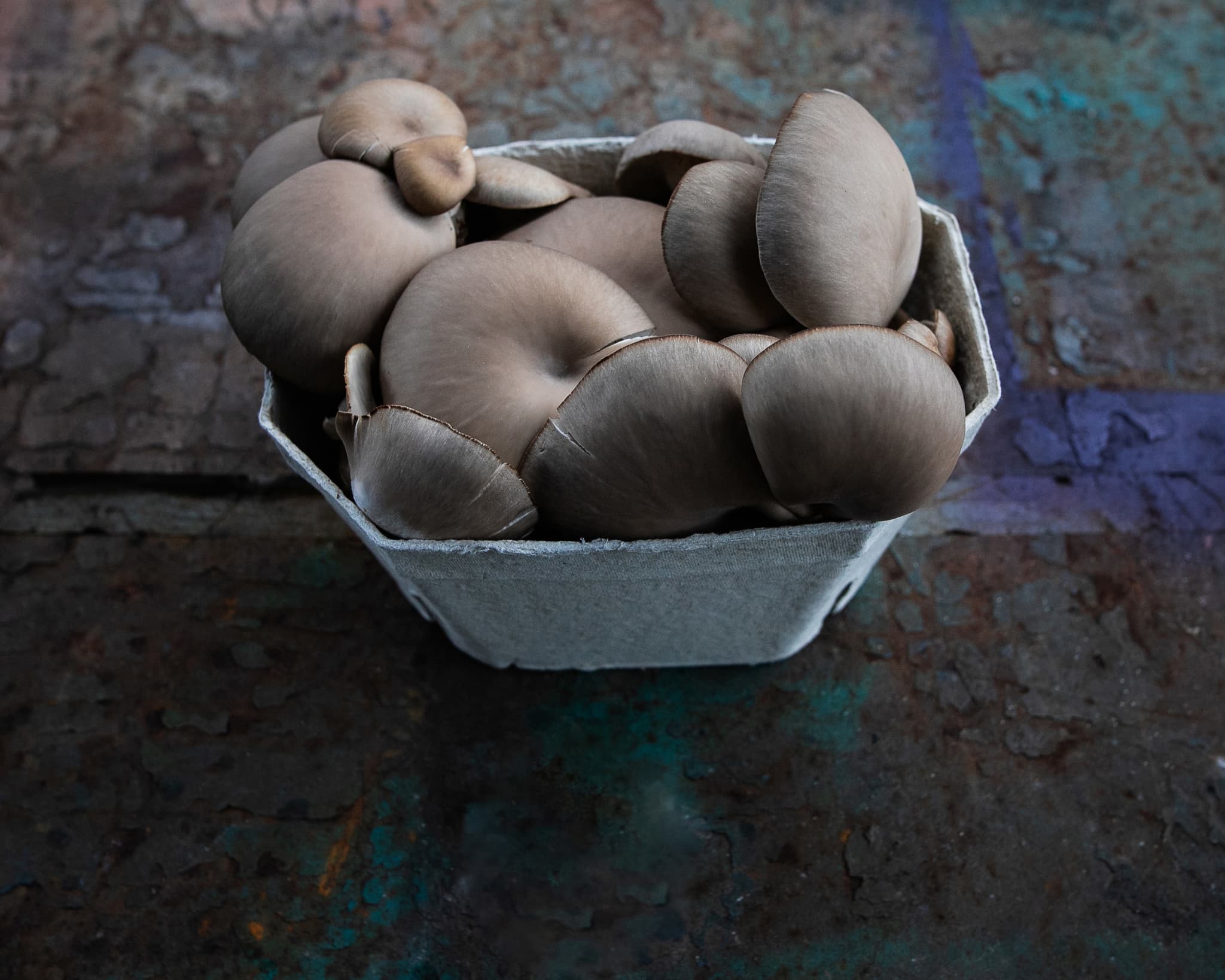 Rhyze Oyster Mushrooms - 500g