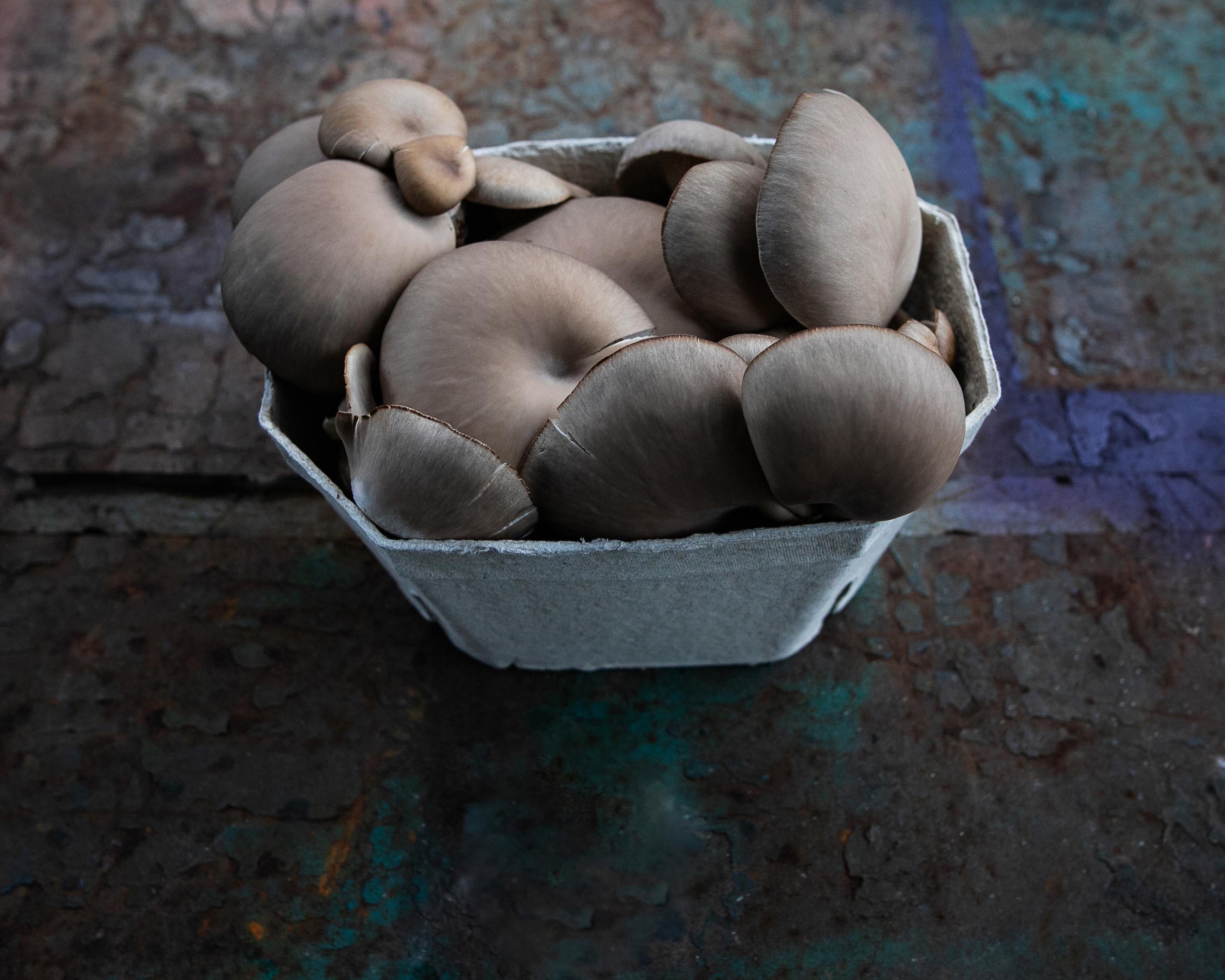 Rhyze Oyster Mushrooms - 500g