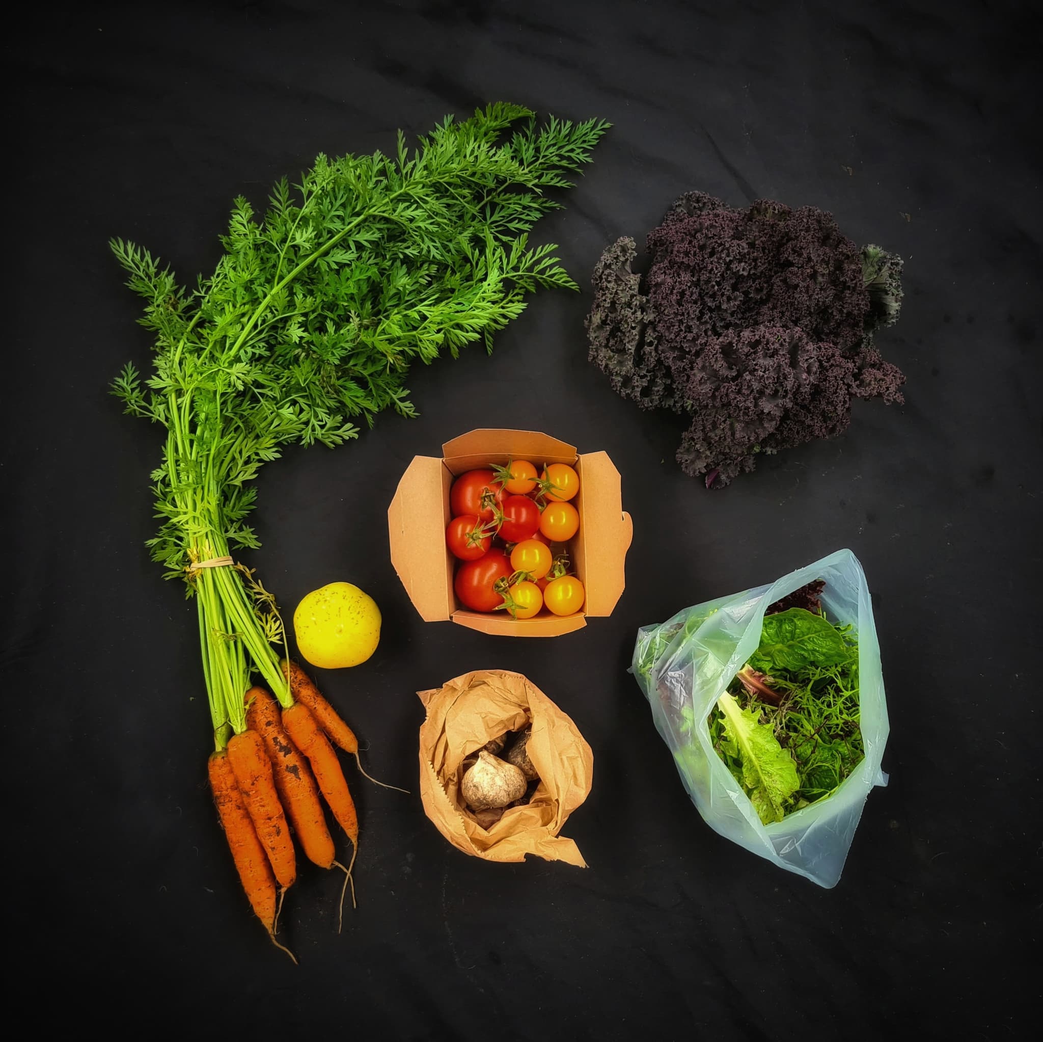 Regular Veg Bags